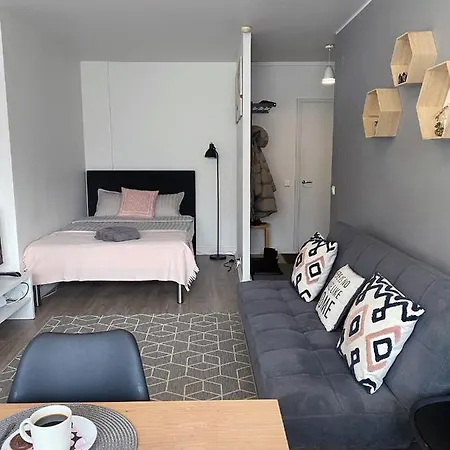 Scandinavian 17 Center Tyoemiehenkatu 2b Appartement