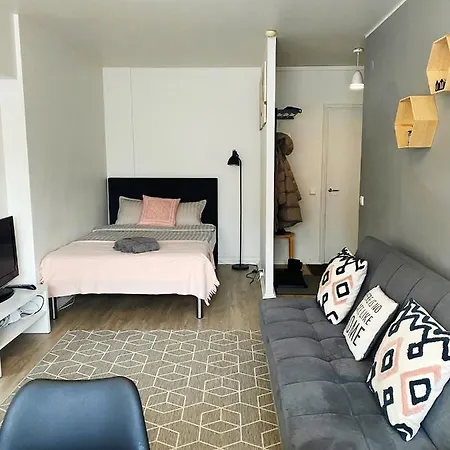 Scandinavian 17 Center Tyoemiehenkatu 2b * 赫尔辛基