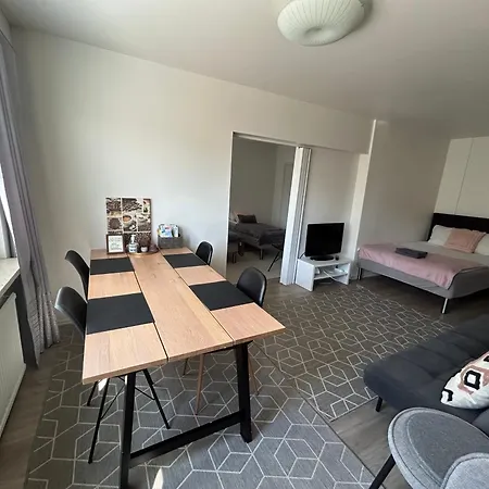 Scandinavian 17 Center Tyoemiehenkatu 2b 赫尔辛基