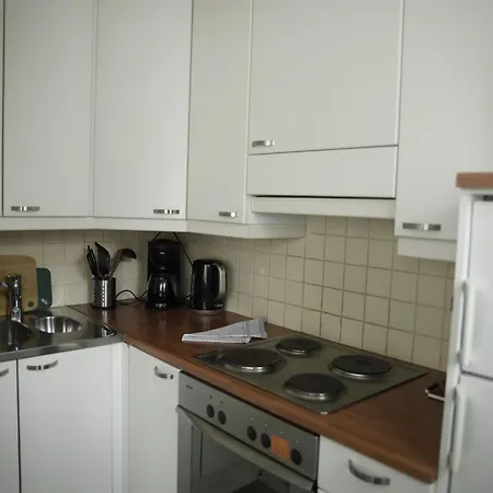 Apartment Scandinavian 17 Center Tyoemiehenkatu 2b *